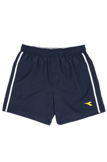 Шорты мужские Diadora DBK71525-3 синие L