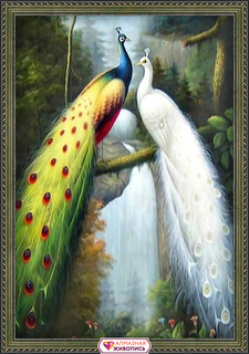 Картина стразами "Павлины" (АЖ-67) Алмазная живопись