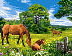 Картина по номерам ТМ Цветной "Солнечный луг", 30x40