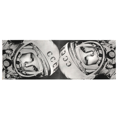 Обложка для студенческого Mitya Veselkov Гагарин STUDAK02