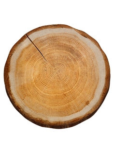 Декоративная подушка флис круглая 40 см Дерево IQ Dekor 1713345