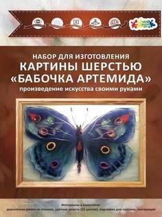 Набор для изготовления картины шерстью ТМ Цветной "Бабочка Артемида" SH033