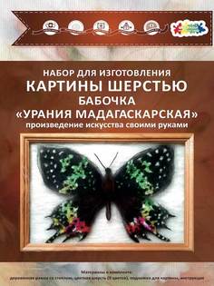 Набор для изготовления картины шерстью ТМ Цветной "Бабочка Урания Мадагаскарская" SH032