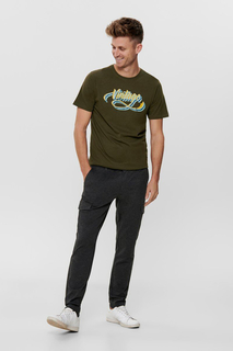 Брюки мужские ONLY & SONS 22014758 серые 34/32