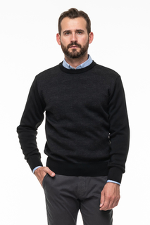 Джемпер мужской Westrenger WTROLQ-18-22 черный XL