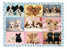 Пазл ravensburger «прелестные щенки» xxl 200 элем.