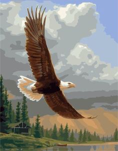 Картина по номерам Paintboy "Полет хищника", 40x50