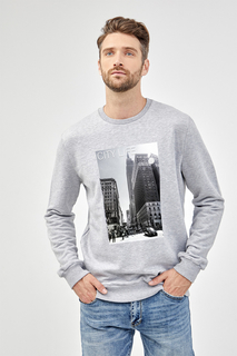 Толстовка мужской Tom Farr T M4028.55 серый L