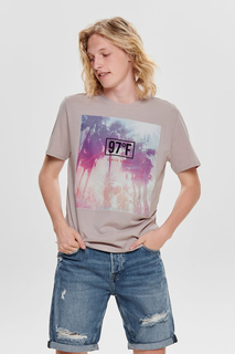 Футболка мужская ONLY & SONS 22012581 фиолетовая L