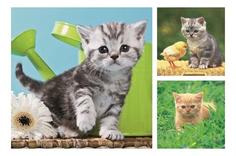 Пазл ravensburger «отважный котенок» 3х49элем.