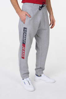 Брюки мужские Tommy Jeans DM0DM05545 серые XXL