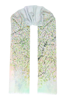 Палантин Dispacci