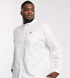 Белая оксфордская рубашка Lyle & Scott-Белый