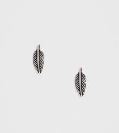 Серебряные серьги-гвоздики в форме перьев ASOS DESIGN-Серебряный