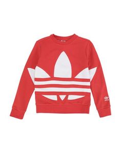 Толстовка Adidas Originals