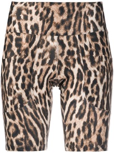 R13 leopard print bike shorts