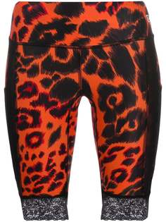 R13 leopard-print cycling shorts