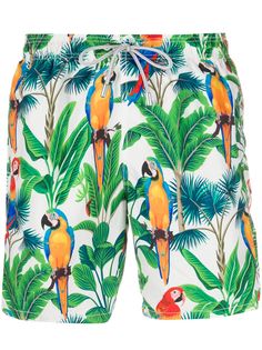 Mc2 Saint Barth parrot print swim shorts