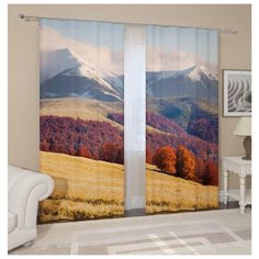 Фотошторы Сирень Альпийский