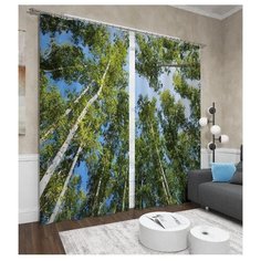 Фотошторы Сирень Вверх