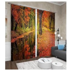 Фотошторы Сирень Осенний парк