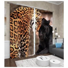 Фотошторы Сирень Дружба и