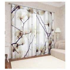 Фотошторы Сирень Белая