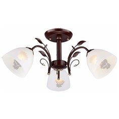 Люстра РОССвет РС20001 BRN+FG