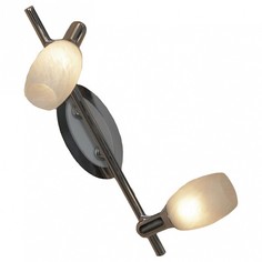 Спот Lissone LSL-8301-02 Lussole