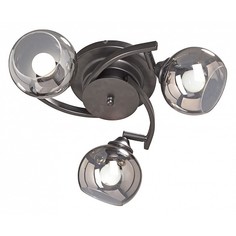 Спот V4307-1/3PL Vitaluce
