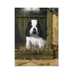 Royal & Langnickel Картина по номерам "Щенок спаниеля" 22х29 см (PJS 67)