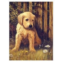 Royal & Langnickel Картина по номерам "Грустный щенок" 22х29 см (PJS 60)