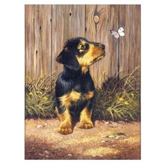 Royal & Langnickel Раскраска по номерам "Такса" 22х29 см (PJS51)