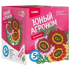 Набор для выращивания LORI Юный агроном. Хризантема Р-018