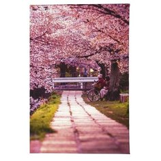 Обложка для паспорта Mitya Veselkov Цветущая аллея OZAM382, Принт