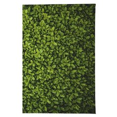 Обложка для паспорта Mitya Veselkov Травушка OZAM379, Принт