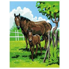 Royal & Langnickel Картина по номерам "Лошади" 22х29 см (PJS 21)