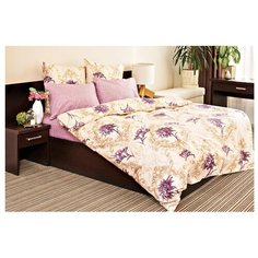 Постельное белье 2-спальное Ночь Нежна Лунный свет 50 х 70 см бязь розовый/бежевый