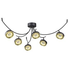 Люстра светодиодная Odeon light Fineca 3812/42CL, LED, 42 Вт