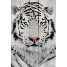 Картина на дереве Дом Корлеоне Белый тигр 01-0369-30х40