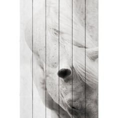 Картина на дереве Дом Корлеоне Белая лошадь 01-0434-30х40