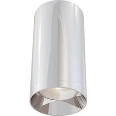 Потолочный светильник Maytoni C010CL-01CH