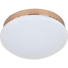 Потолочный светодиодный светильник F-Promo 2465-1C