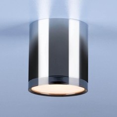 Потолочный светодиодный светильник Elektrostandard 4690389121968