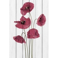 Картина на дереве Дом Корлеоне Маки 80x120 см