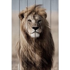 Картина на дереве Дом Корлеоне Лев 80x120 см