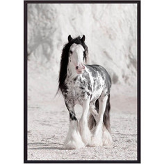 Постер в рамке Дом Корлеоне Ирландская лошадь 21x30 см