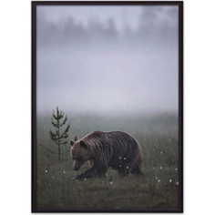 Постер в рамке Дом Корлеоне Медведь 30x40 см