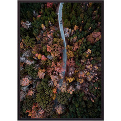 Постер в рамке Дом Корлеоне Осенний лес с высоты 50x70 см