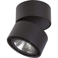 Светодиодный спот Lightstar 213817